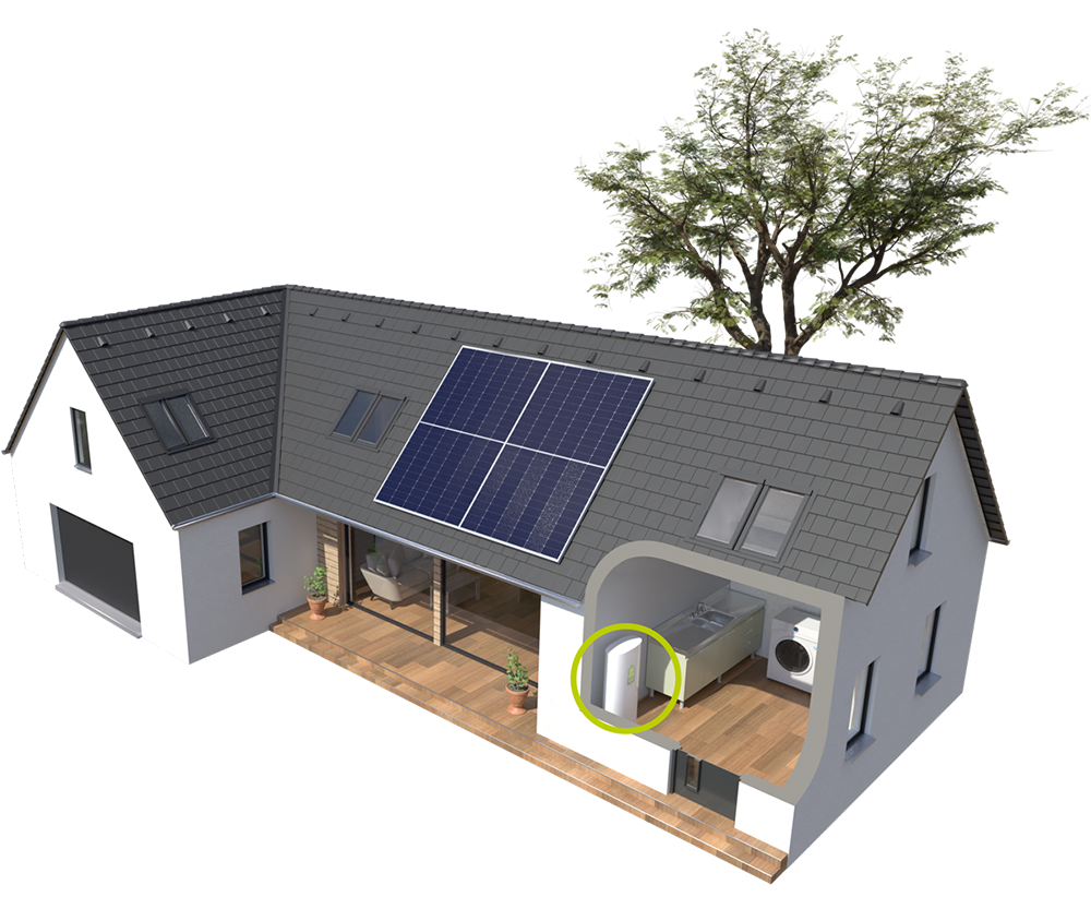 home graphic new
